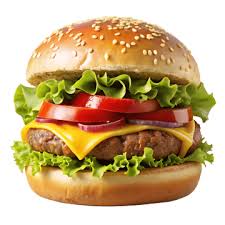 Special burger